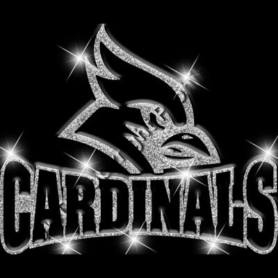 GLT32   SILVER GLITTER Thumbnail